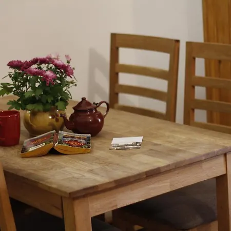 Downtown Hostel Timisoara